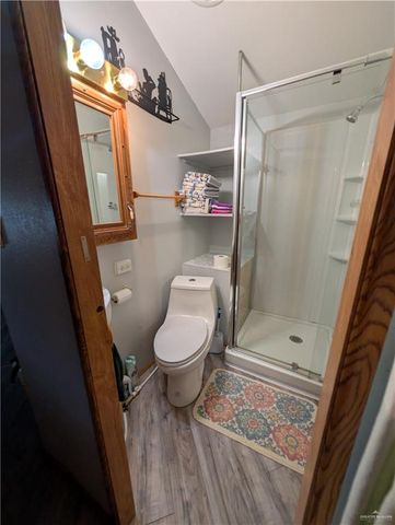 2413 Starling W Circle, Palmview, TX 78572