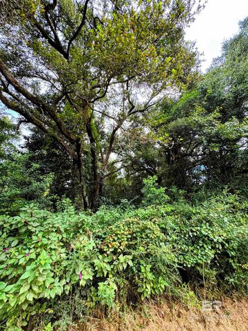 17671 Williams Lane, Summerdale, AL 36580