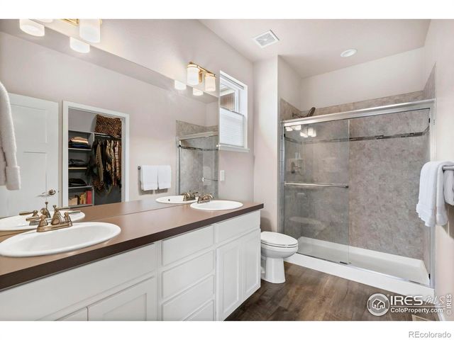 3859 Eucalyptus Street, Wellington, CO 80549