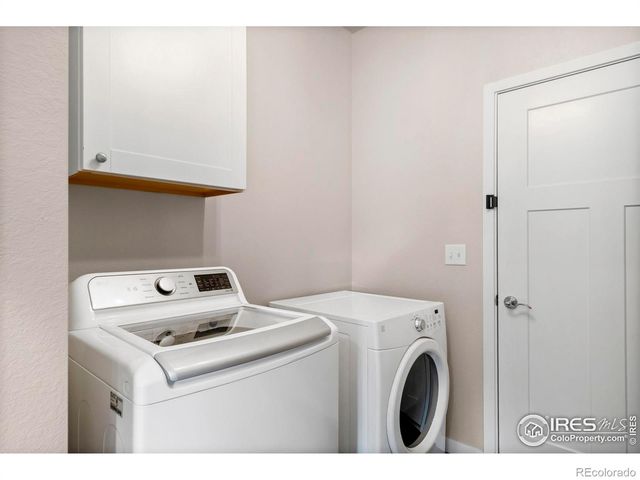 3859 Eucalyptus Street, Wellington, CO 80549