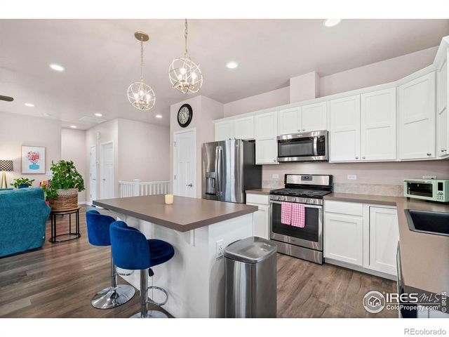 3859 Eucalyptus Street, Wellington, CO 80549