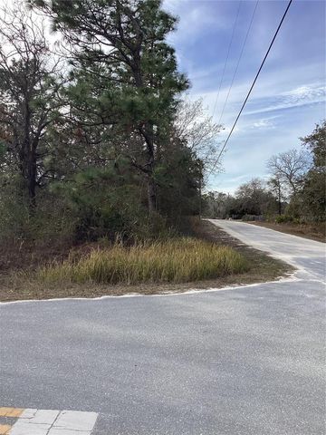 12449 INDIGO BUNTING, Weeki Wachee, FL 34614