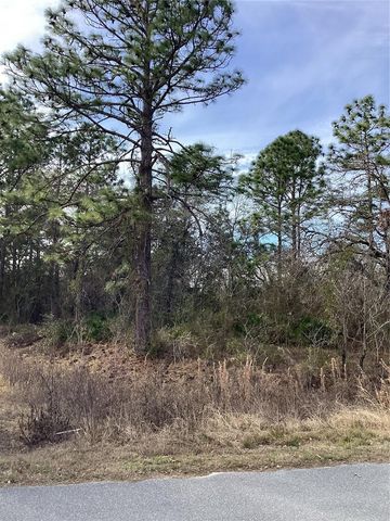 12449 INDIGO BUNTING, Weeki Wachee, FL 34614