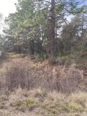 12449 INDIGO BUNTING, Weeki Wachee, FL 34614