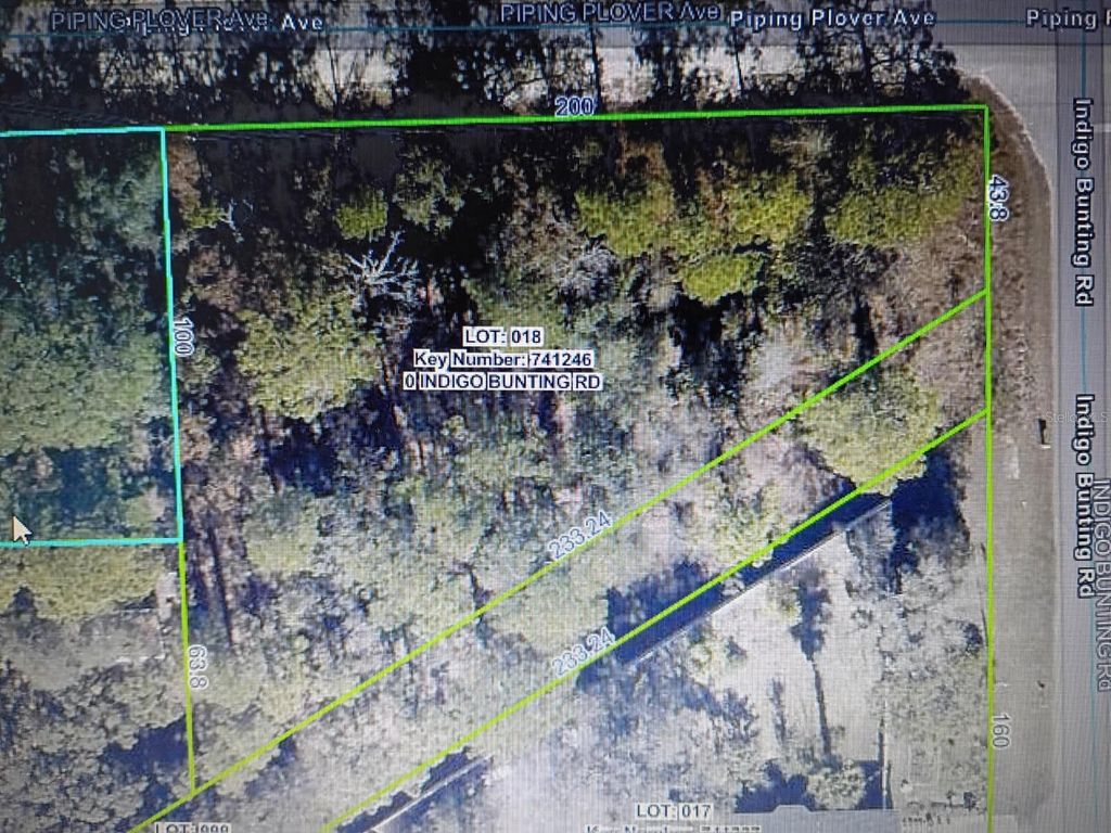 12449 INDIGO BUNTING, Weeki Wachee, FL 34614
