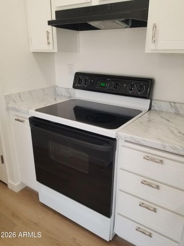 9726 W TERRACE Lane, Sun City, AZ 85373