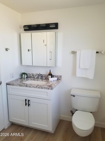 9726 W TERRACE Lane, Sun City, AZ 85373