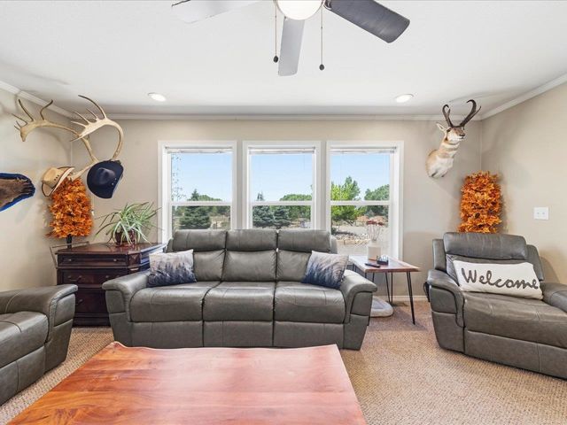 54000 Flight Lane, Olathe, CO 81425