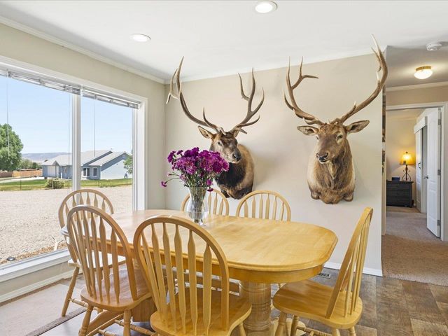 54000 Flight Lane, Olathe, CO 81425