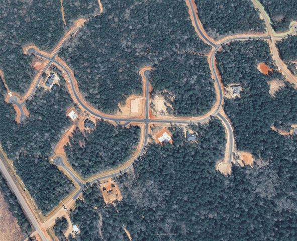 25300 High Meadow West Dr, Montgomery, TX 77316
