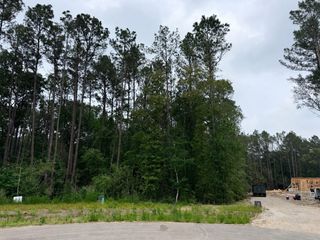 25300 High Meadow West Dr, Montgomery, TX 77316