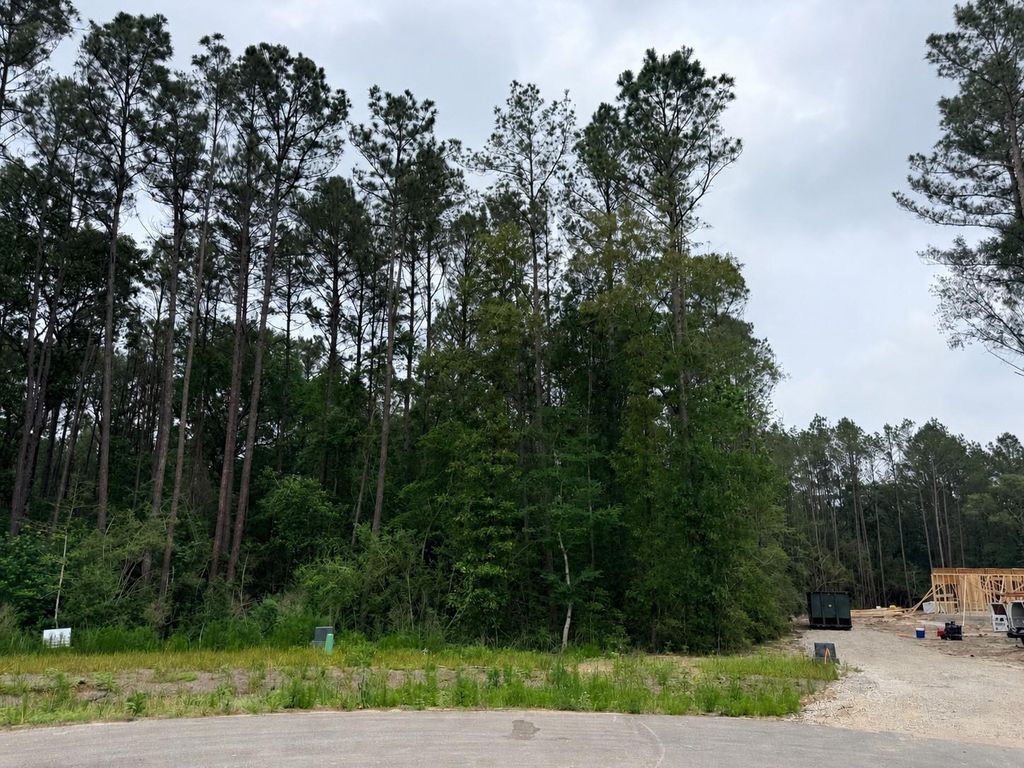 25300 High Meadow West Dr, Montgomery, TX 77316