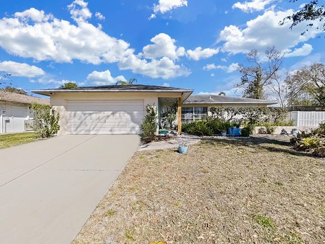 5205 RIPPLE CREEK DRIVE, Tampa, FL 33625