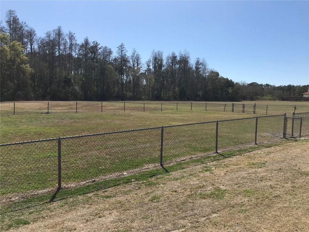 Image 54 of property listing at 5205 RIPPLE CREEK DRIVE, Tampa, FL 33625