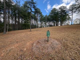 LOT 87 Creek Hollow Lane, Blairsville, GA 30512