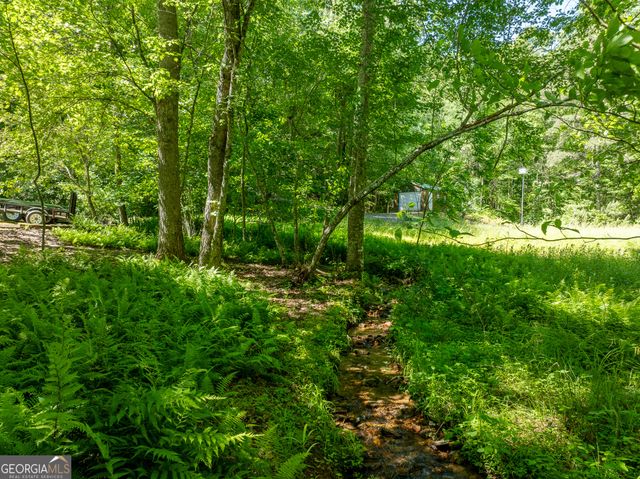 724 Fish Cove Road, Blairsville, GA 30512