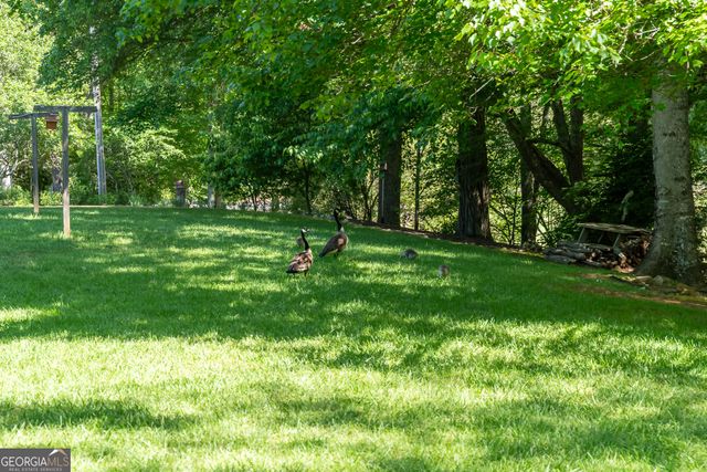 724 Fish Cove Road, Blairsville, GA 30512