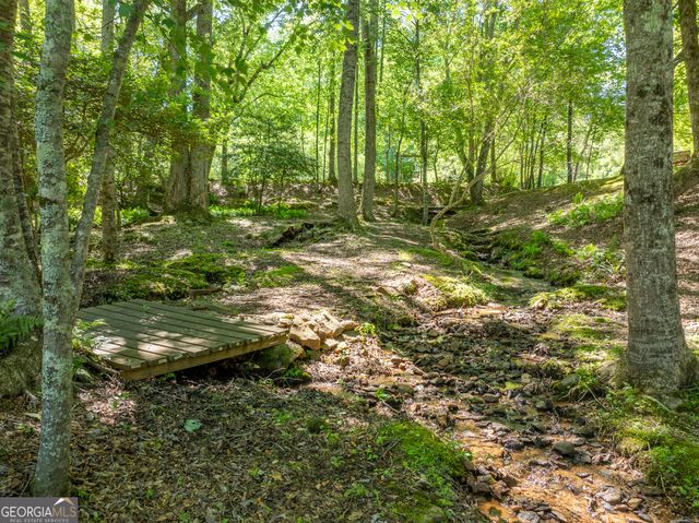 724 Fish Cove Road, Blairsville, GA 30512