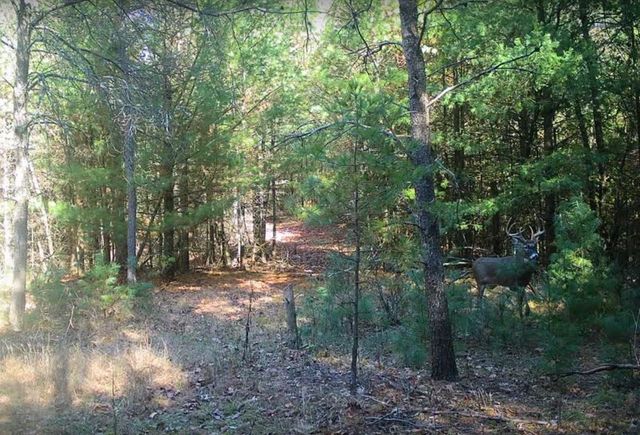 N2325 ELM STREET, Wautoma, WI 54982