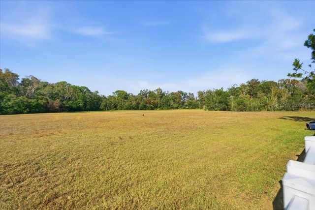 18425 CYPRESS BAY PARKWAY, Land O Lakes, FL 34638