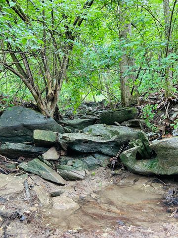 10061 Persimmon Grove Pike, Alexandria, KY 41001