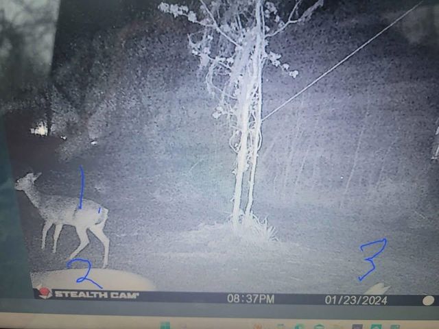 885 Bayou Dularge Rd, Houma, LA 70363