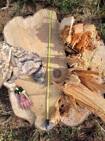 885 Bayou Dularge Rd, Houma, LA 70363