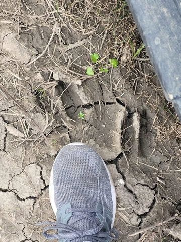 885 Bayou Dularge Rd, Houma, LA 70363