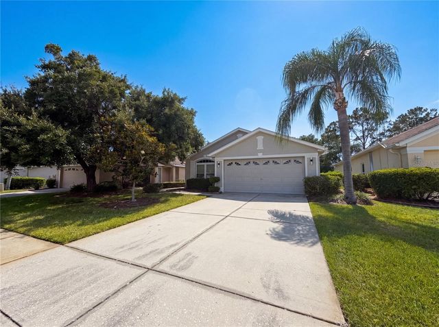 3133 BANYAN HILL LANE, Land O Lakes, FL 34639