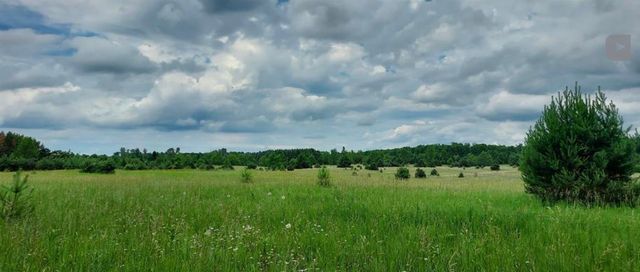 Lot P E Sparling Road, Paradise Twp, MI 49649