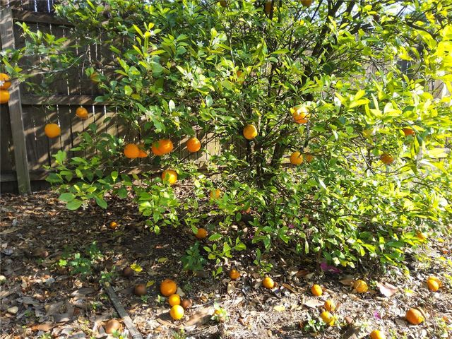 31043 WILLOW BANK AVENUE, Brooksville, FL 34602