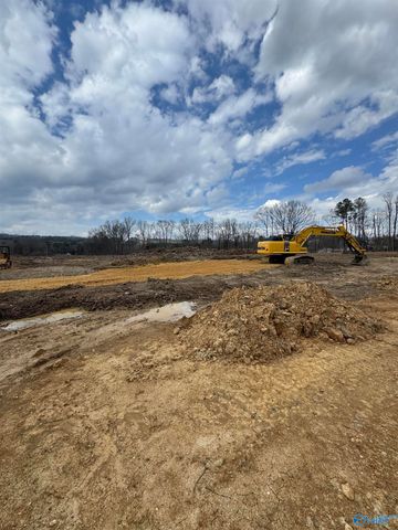 3600 Godfrey Avenue NE, Fort Payne, AL 35967