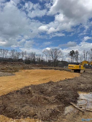 3600 Godfrey Avenue NE, Fort Payne, AL 35967