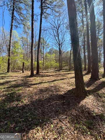 2103 River Road, Ellenwood, GA 30294