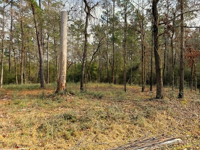 195 Walnut Circle, Trinity, TX 75862