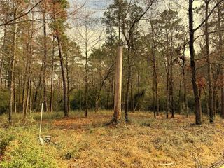 195 Walnut Circle, Trinity, TX 75862