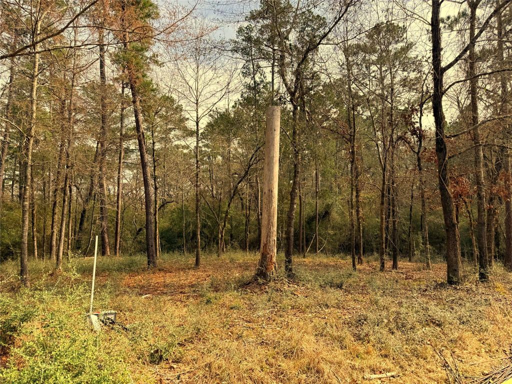 195 Walnut Circle, Trinity, TX 75862