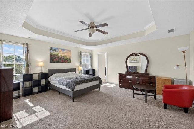 7941 Megan Meadow Drive, Hudson, OH 44236