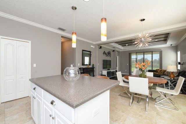 16823 DESTREHEN COURT, Parrish, FL 34219