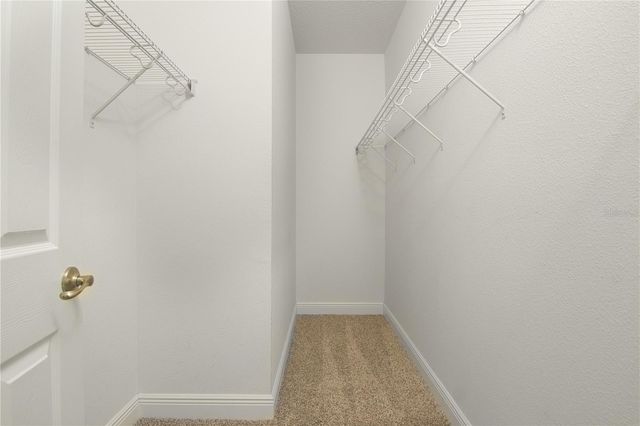 8323 LOOKOUT POINTE DRIVE, Windermere, FL 34786