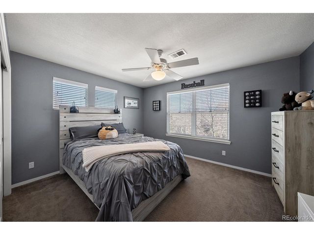 3867 Broadview Pl, Castle Rock, CO 80109