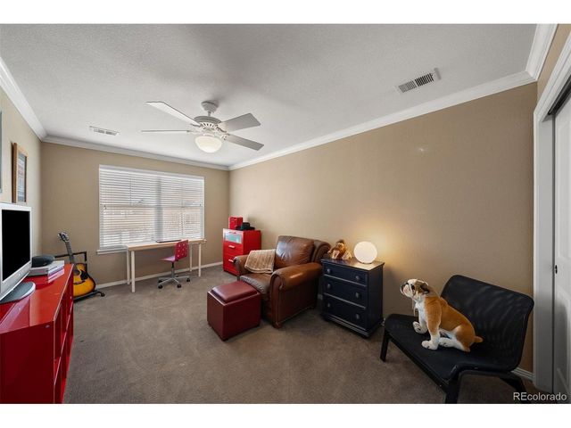 3867 Broadview Pl, Castle Rock, CO 80109