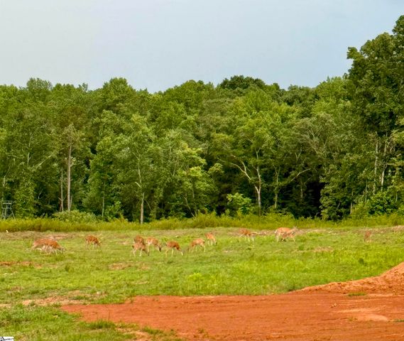 160 Smith Motors Drive, Belton, SC 29627