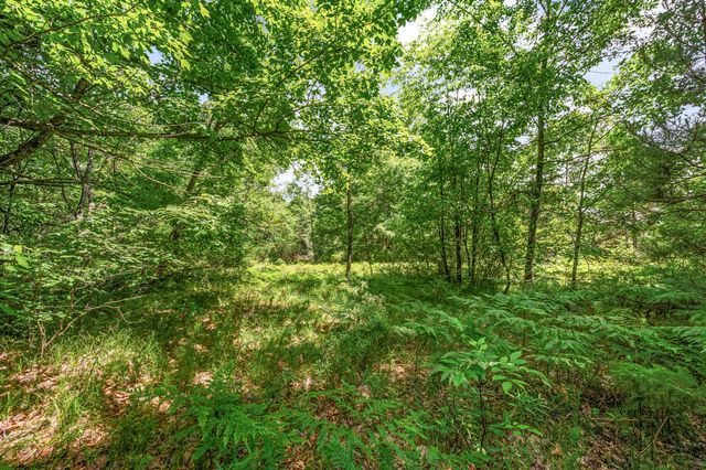 11592 80th Avenue, Mecosta, MI 49332