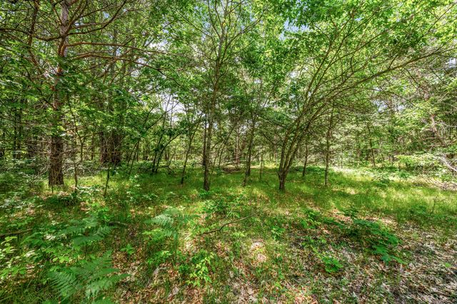11592 80th Avenue, Mecosta, MI 49332