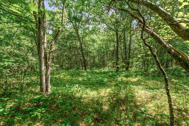 11592 80th Avenue, Mecosta, MI 49332