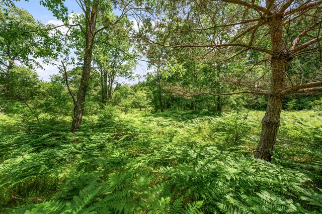 11592 80th Avenue, Mecosta, MI 49332