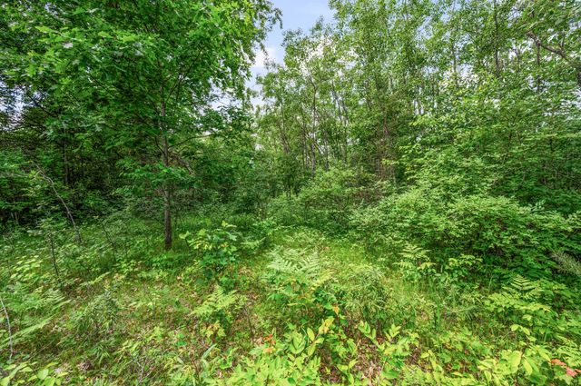 11592 80th Avenue, Mecosta, MI 49332