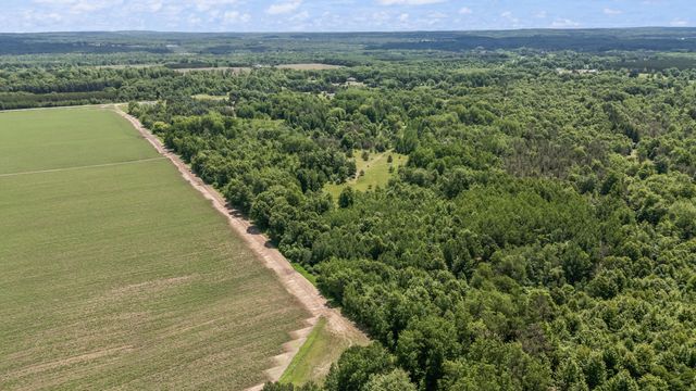 11592 80th Avenue, Mecosta, MI 49332