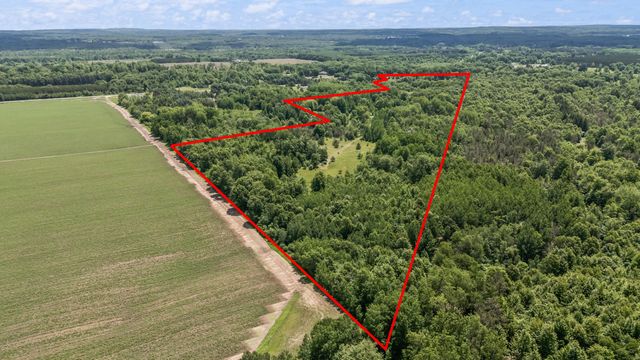 11592 80th Avenue, Mecosta, MI 49332